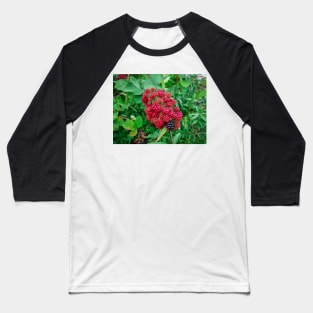 Wild Blackberries Baseball T-Shirt